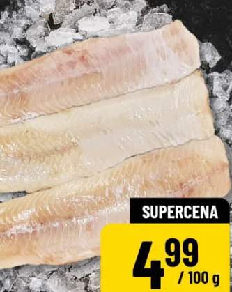 filet z zębacza smugowego