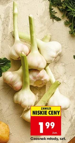 Czosnek młody