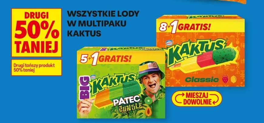 Lody w multipaku Kaktus Classic