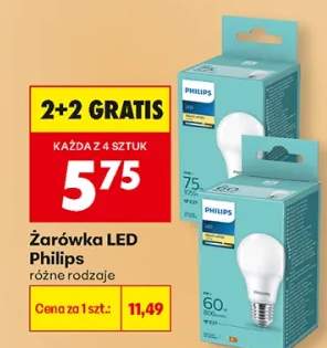 Żarówka LED różne rodzaje