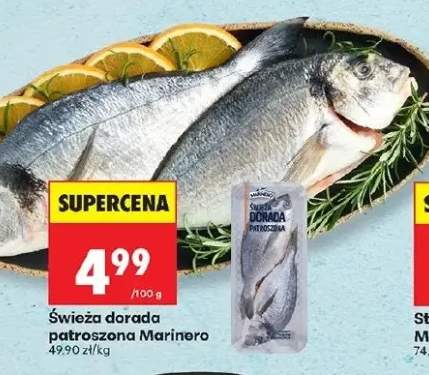 Świeża dorada patroszona