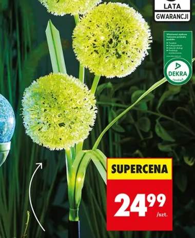 Lampa solarna kuleczki LED