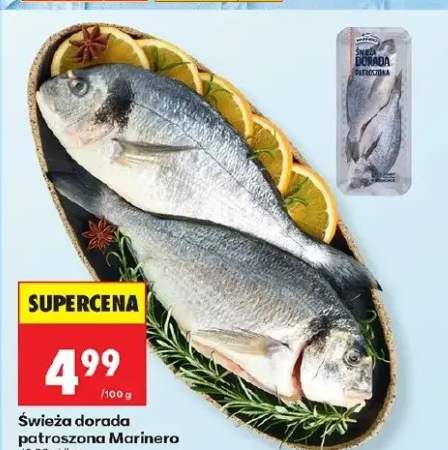 Świeża dorada patroszona