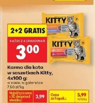 Karma dla kota w saszetkach w sosie