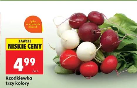 Rzodkiewka trzy kolory