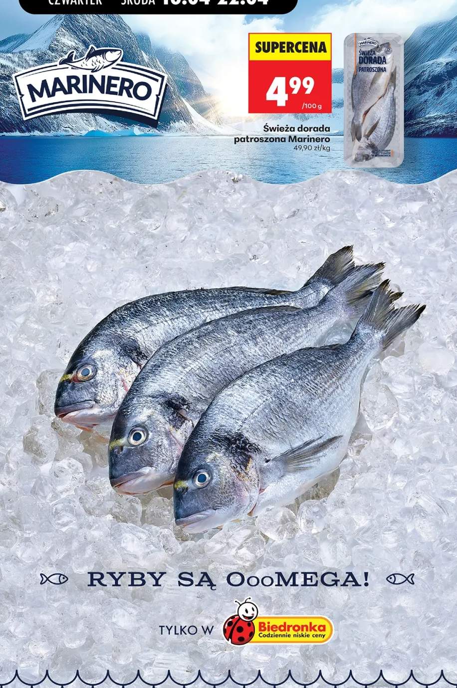 Świeża dorada patroszona