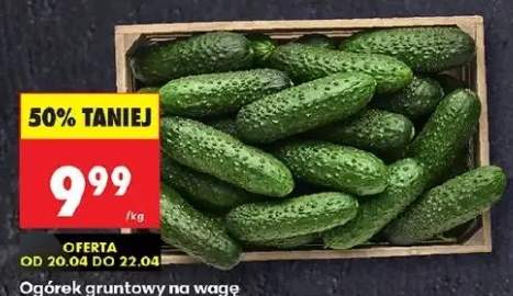 Ogórek gruntowy na wagę