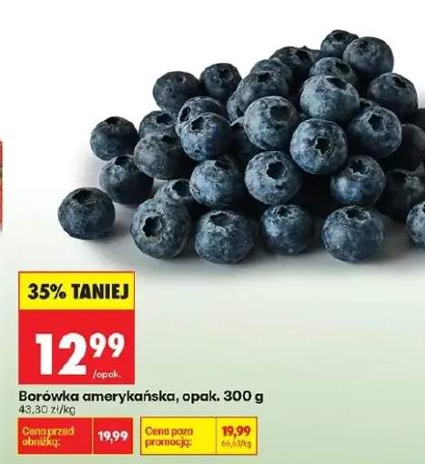 Borówka amerykańska