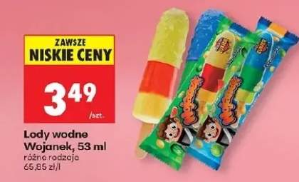 Lody wodne różne rodzaje