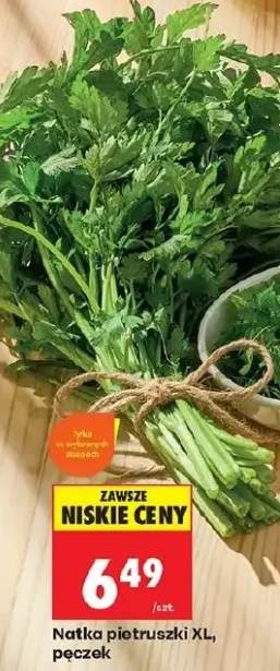 Natka pietruszki XL pęczek