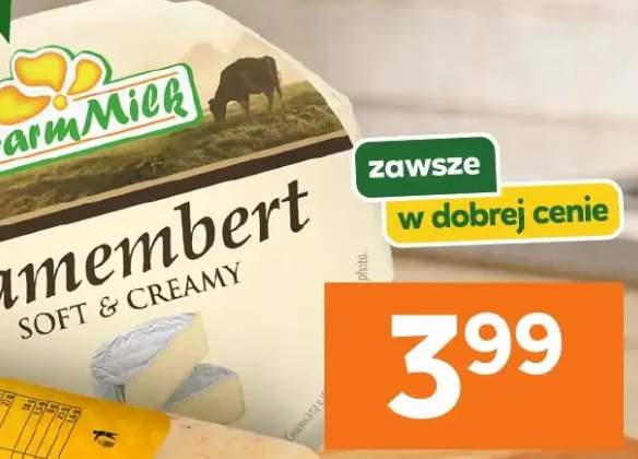 ser camembert