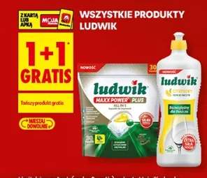 Płyn do naczyń Ludwik