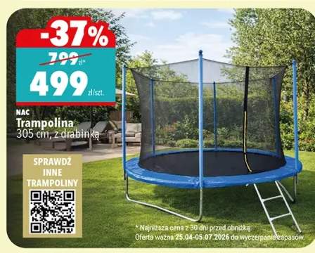 Trampolina NAC 305cm z drabinką