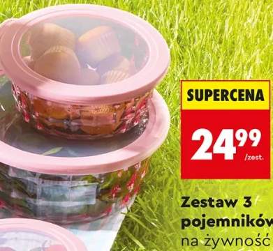 Zestaw 3 pojemników na żywność Smukee okrągłe