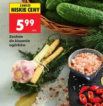 Zestaw do kiszenia ogórków