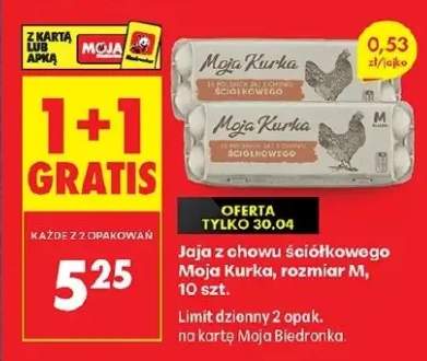 Jaja z chowu ściółkowego Moja Kurka rozmiar M