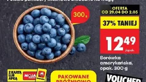 Borówka amerykańska