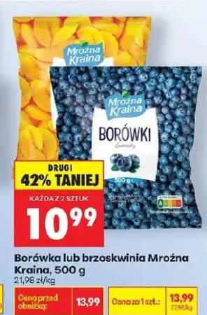 Borówka mrożona Mroźna Kraina