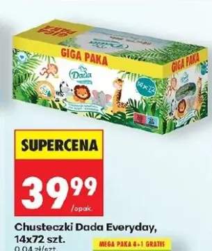 Chusteczki Dada Everyday GIGA PAKA 14x72szt