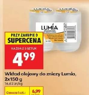 Wkład olejowy do zniczy Lumia