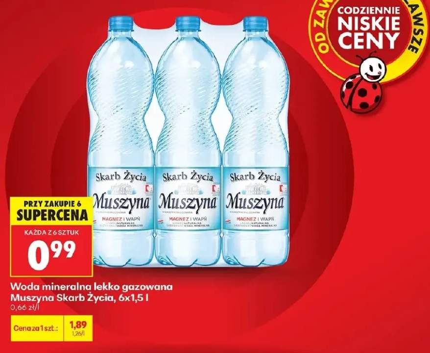 Woda mineralna lekko gazowana Muszyna Skarb Życia