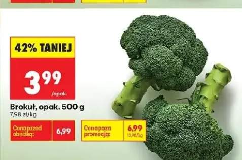 Brokuł