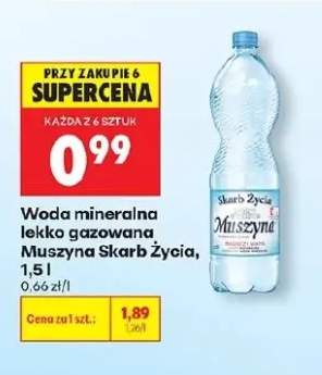 Woda mineralna lekko gazowana Muszyna Skarb Życia