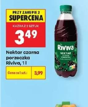 Nektar czarna porzeczka Riviva
