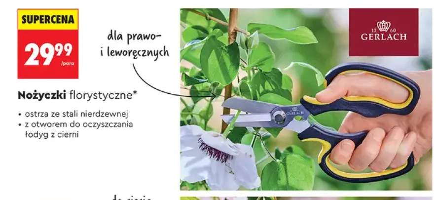 Nożyczki florystyczne GERLACH