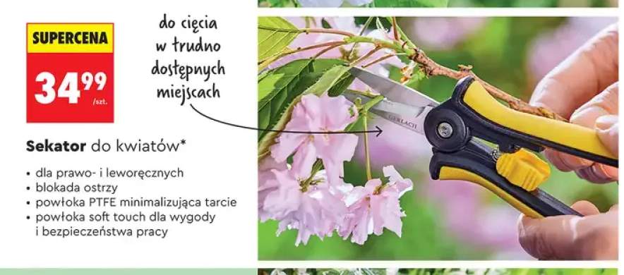 Sekator do kwiatów GERLACH