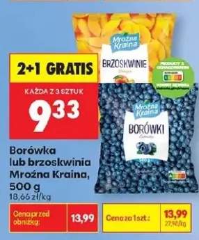 Borówka Mroźna Kraina 500g
