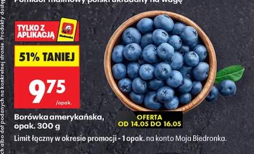 Borówka amerykańska