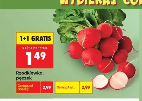 Rzodkiewka pęczek