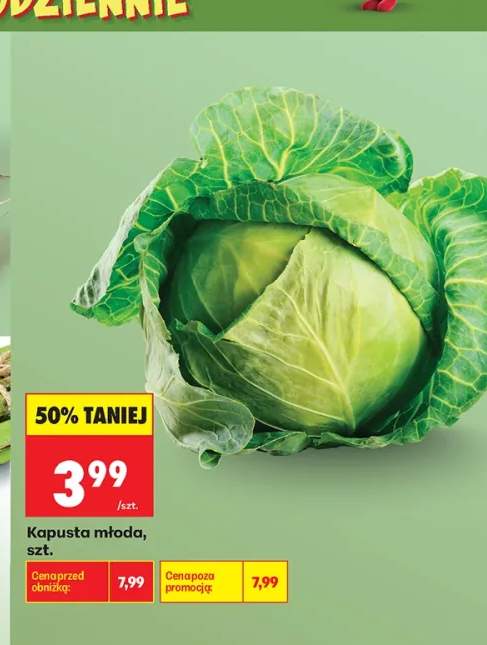 Kapusta młoda