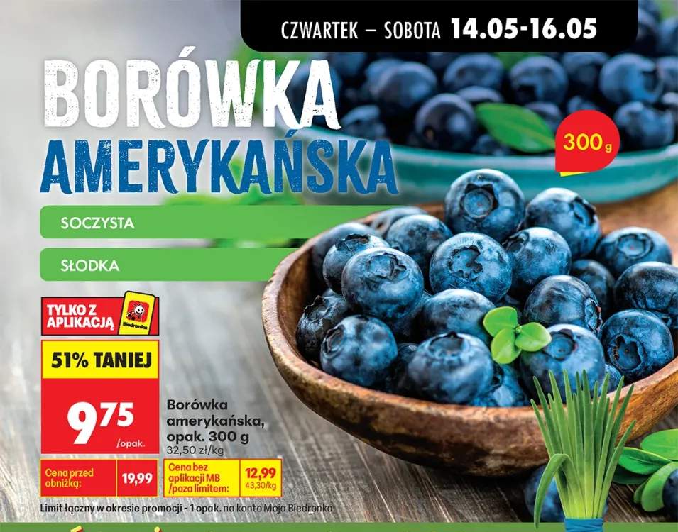 Borówka amerykańska