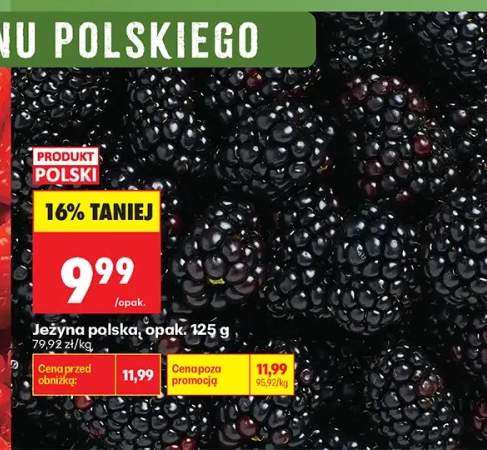 Jeżyna polska