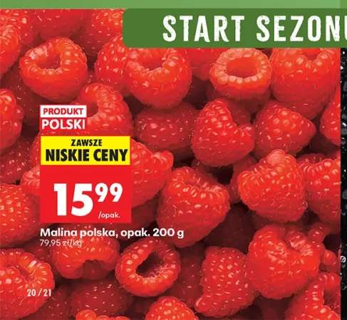Malina polska