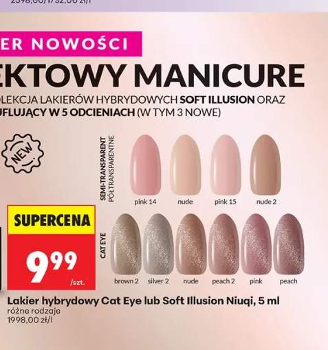 Lakier hybrydowy Cat Eye Niuqi