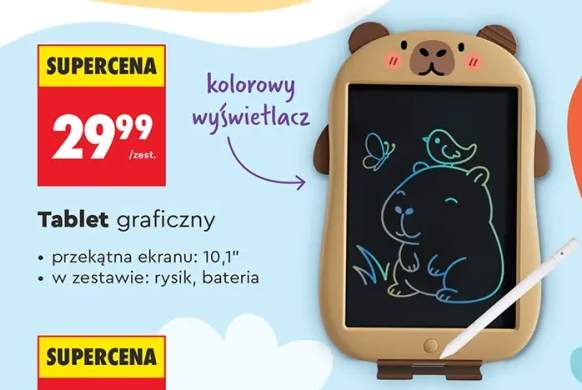 Tablet graficzny 10,1"