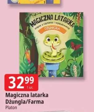 latarka