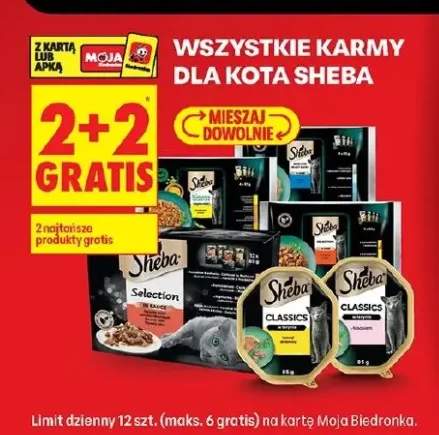 Karma dla kota Sheba Classics w terrinie z łososiem