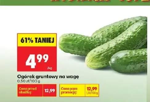 Ogórek gruntowy na wagę