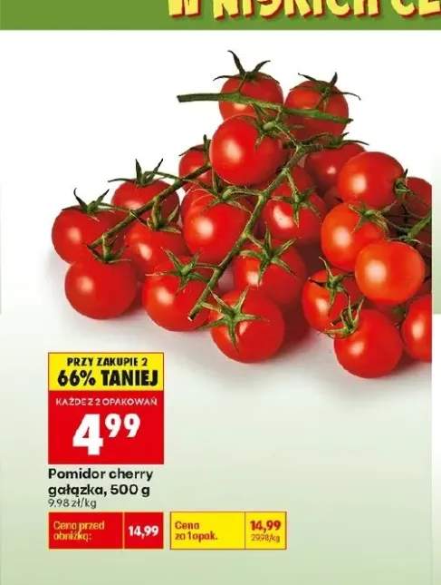 Pomidor cherry gałązka