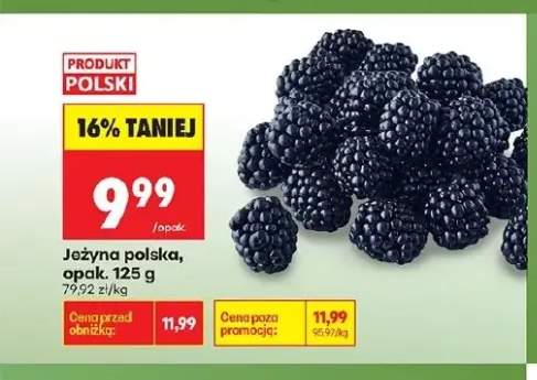 Jeżyna polska