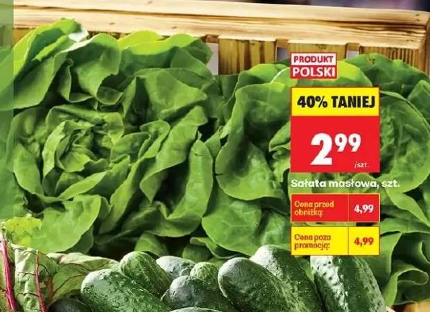 Sałata masłowa polska