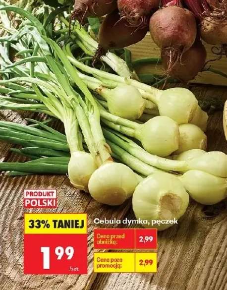 Cebula dymka polska