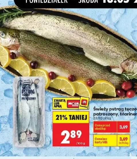 Świeży pstrąg tęczowy patroszony Marinero