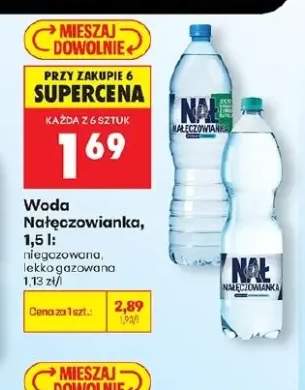 Woda Nałęczowianka niegazowana