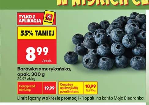 Borówka amerykańska