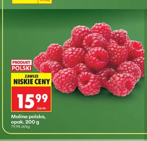 Malina polska